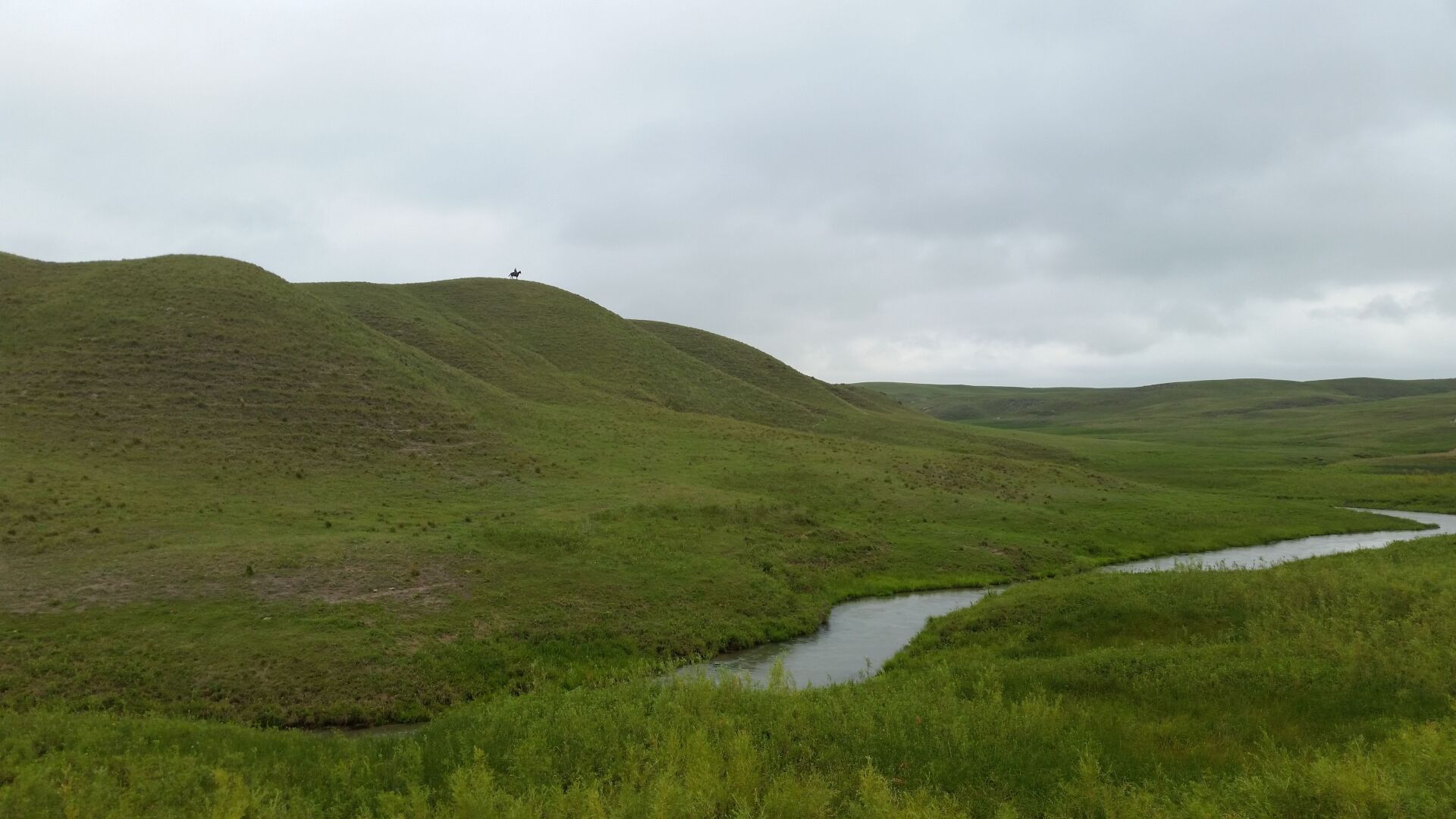 Sandhills Task Force (4).tif